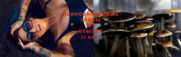 дмт Балабаново