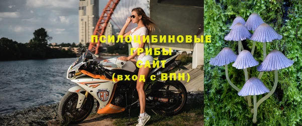 МДПВ Белокуриха